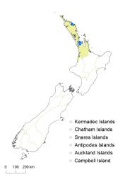 Diplazium esculentum distribution map based on databased records at AK, CHR & WELT.
 Image: K.Boardman © Landcare Research 2018 CC BY 4.0